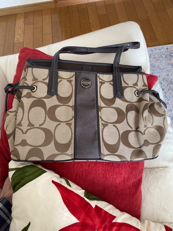 その他 コーチ （ブランドバッグ）の商品画像 - 査定依頼日：2026年3月21日 - 最高査定価格：2,000円