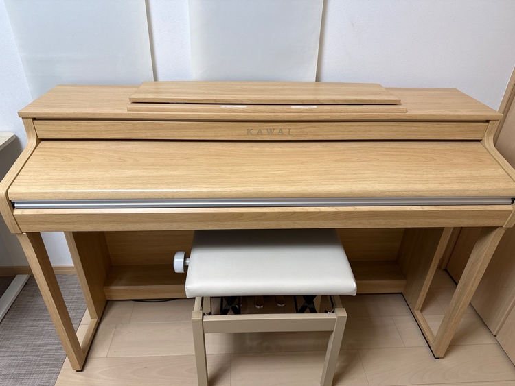 CA401LO（ピアノ・楽器・PA機材）の商品画像 - 査定依頼日：2026年2月13日 - 最高査定価格：5,000円