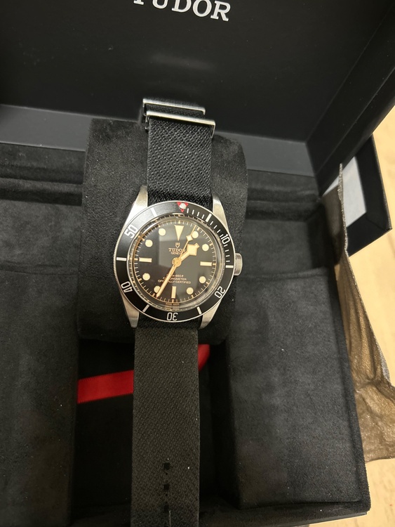 チューダー ブラックベイ 79230m（高級時計）の商品画像 - 査定依頼日：2025年12月20日 - 最高査定価格：360,000円