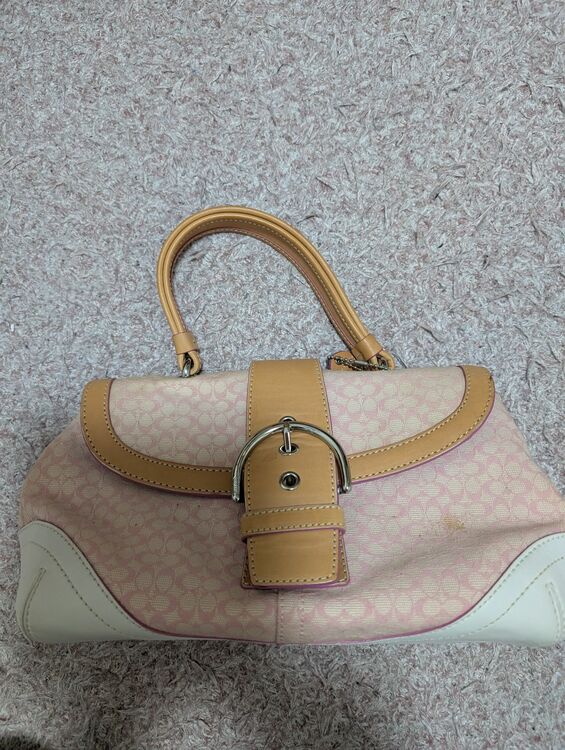 その他 コーチ （ブランドバッグ）の商品画像 - 査定依頼日：2025年8月8日 - 最高査定価格：1,200円