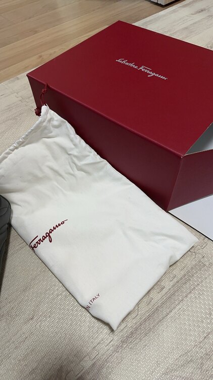 フェラガモ  （ブランドバッグ）の商品画像 - 査定依頼日：2025年1月27日 - 最高査定価格：100,000円