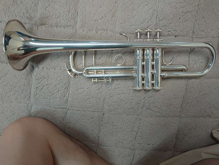 stradivarius model 37（ピアノ・楽器・PA機材）の商品画像 - 査定依頼日：2025年5月14日 - 最高査定価格：160,000円