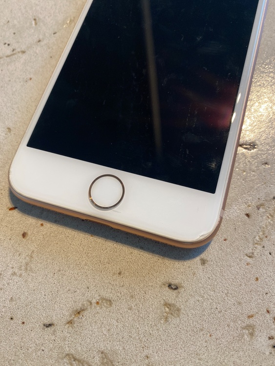 iPhone iPhone8 64GB SIMフリー（スマホ）の商品画像 - 査定依頼日：2026年9月19日 - 最高査定価格：4,500円