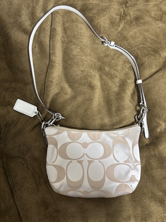 シグネチャー（ブランドバッグ）の商品画像 - 査定依頼日：2025年4月12日 - 最高査定価格：1,500円