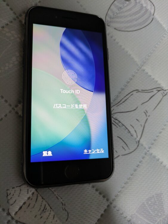 iPhone iPhone SE (第 3 世代) 128GB 楽天モバイル（スマホ）の商品画像 - 査定依頼日：2026年7月9日 - 最高査定価格：22,000円
