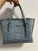 その他 コーチ （ブランドバッグ）の商品画像 - 査定依頼日：2025年6月28日 - 最高査定価格：6,000円