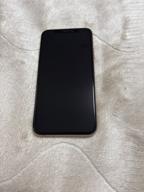 iPhone iPhoneXS 256GB docomo（スマホ）の商品画像 - 査定依頼日：2026年6月4日 - 最高査定価格：16,000円