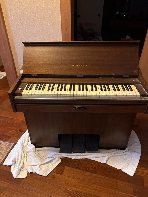 ＳＦＯＲＺＡＮＤＯ　D型（ピアノ・楽器・PA機材）の商品画像 - 査定依頼日：2026年6月3日 - 最高査定価格：5,000円