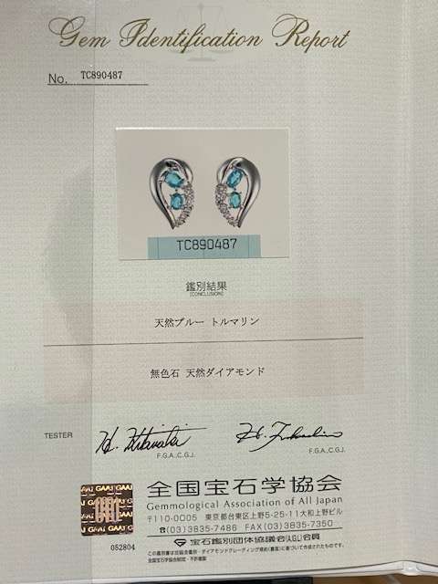 天然ブルートルマリンピアス（宝石）の商品画像 - 査定依頼日：2023年11月12日 - 最高査定価格：10,000円