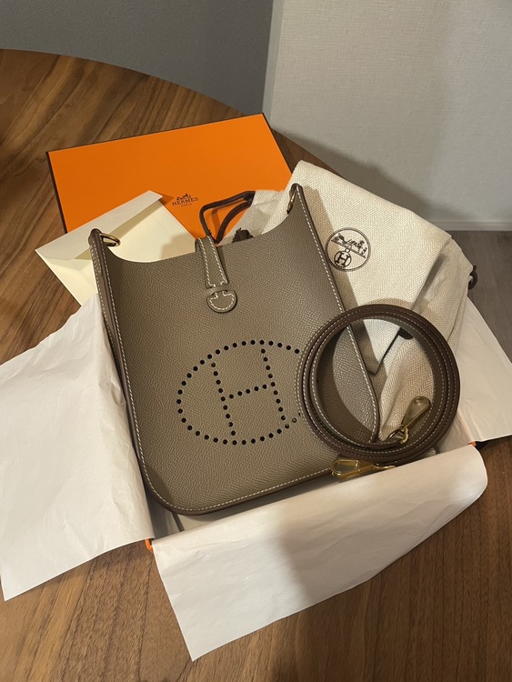 エヴリン / 16 / ミニ / TPM（ブランドバッグ）の商品画像 - 査定依頼日：2026年2月28日 - 最高査定価格：370,000円