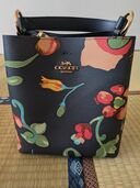 その他 コーチ （ブランドバッグ）の商品画像 - 査定依頼日：2025年8月26日 - 最高査定価格：4,500円