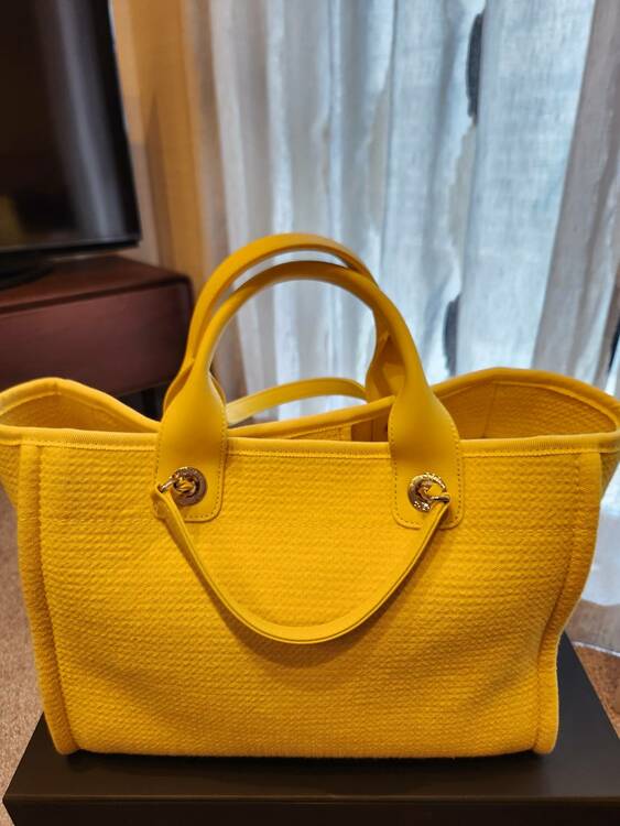 ドゥーヴィル（ブランドバッグ）の商品画像 - 査定依頼日：2025年12月20日 - 最高査定価格：400,000円