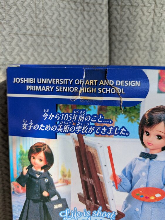 リカちゃん（その他のおもちゃ）の商品画像 - 査定依頼日：2026年3月9日 - 最高査定価格：3,000円