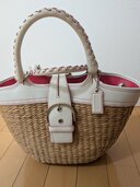 その他 コーチ （ブランドバッグ）の商品画像 - 査定依頼日：2026年1月19日 - 最高査定価格：2,000円