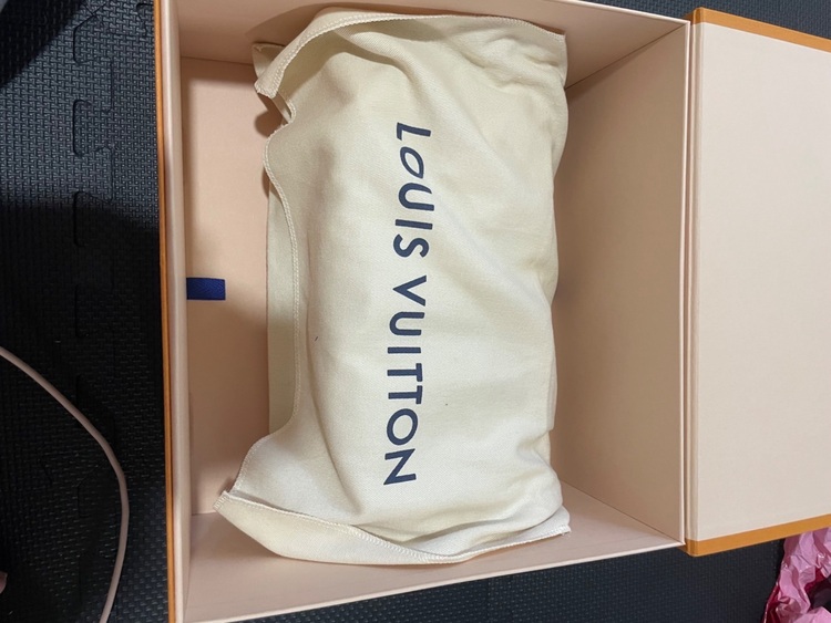 ディアヌ（ブランドバッグ）の商品画像 - 査定依頼日：2025年9月24日 - 最高査定価格：100,000円