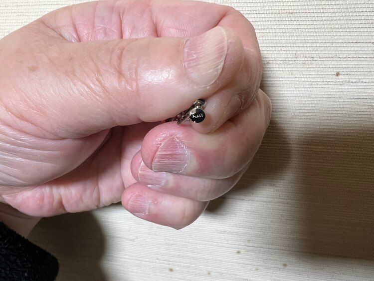 プラチナダイヤ入りイヤリング（宝石）の商品画像 - 査定依頼日：2025年1月24日 - 最高査定価格：30,000円