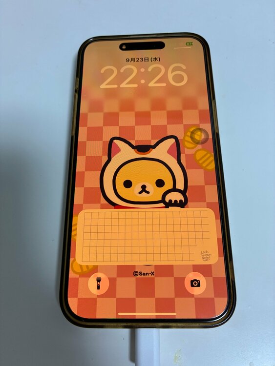 iPhone iPhone 15 Pro Max 256GB SIMフリー（スマホ）の商品画像 - 査定依頼日：2026年9月23日 - 最高査定価格：107,500円