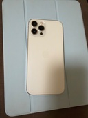 iPhone iPhone 12 Pro Max 256GB docomo（スマホ）の商品画像 - 査定依頼日：2026年9月27日 - 最高査定価格：43,000円