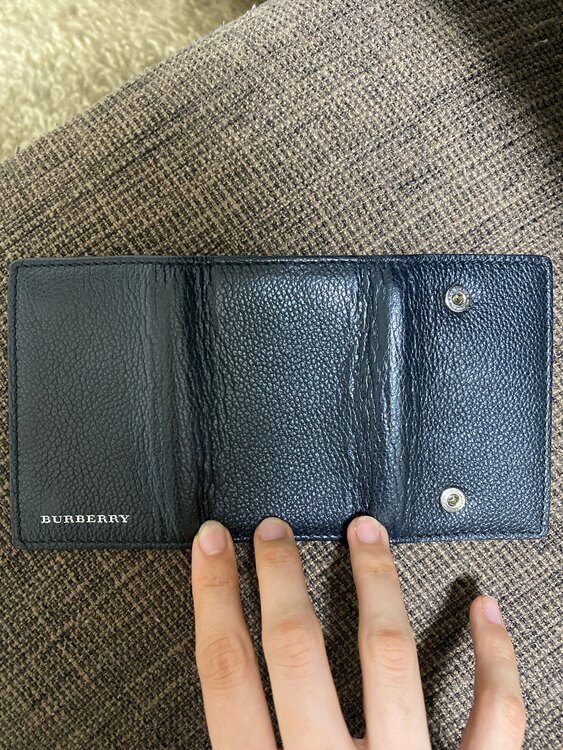 その他 バーバリー （ブランドバッグ）の商品画像 - 査定依頼日：2025年3月30日 - 最高査定価格：3,000円