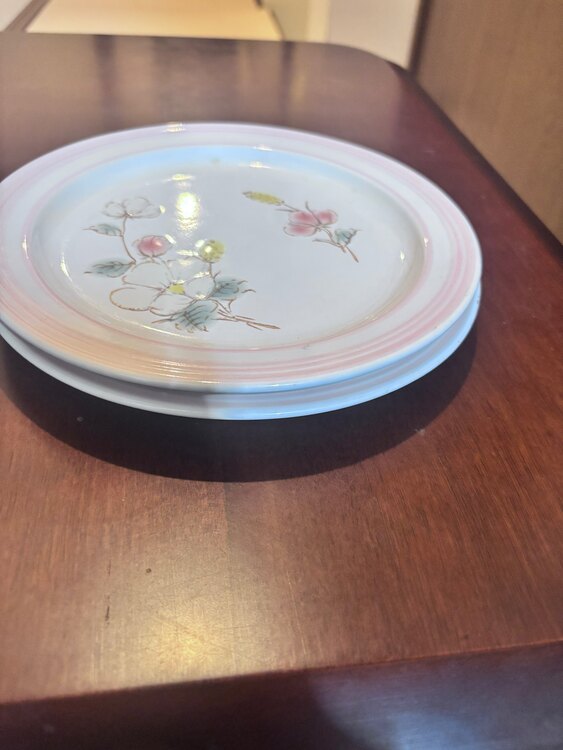 皿2枚（食器）の商品画像 - 査定依頼日：2025年3月11日 - 最高査定価格：100円