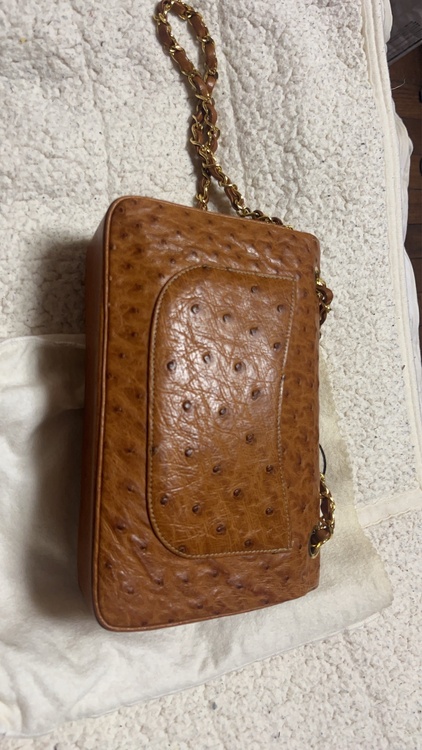 SH018 - CHANEL Vintage Brown Ostrichskin（ブランドバッグ）の商品画像 - 査定依頼日：2026年5月5日 - 最高査定価格：250,000円