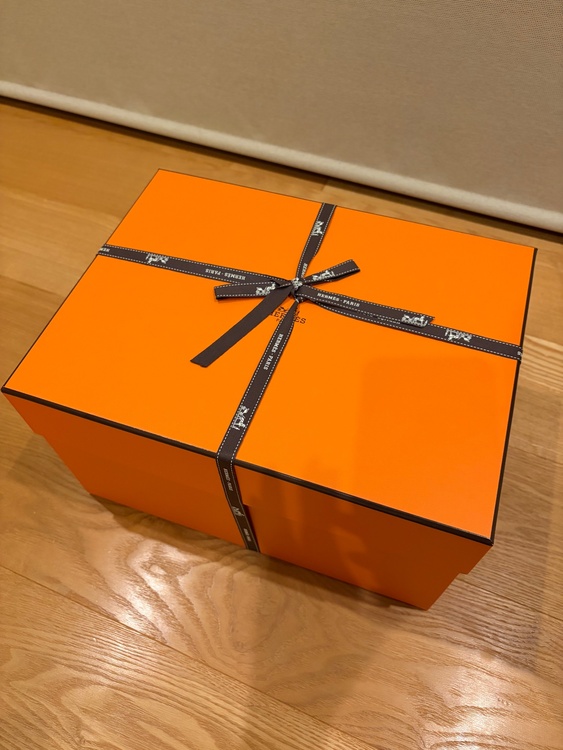 エルメス ピコタン（ブランドバッグ）の商品画像 - 査定依頼日：2026年8月28日 - 最高査定価格：570,000円