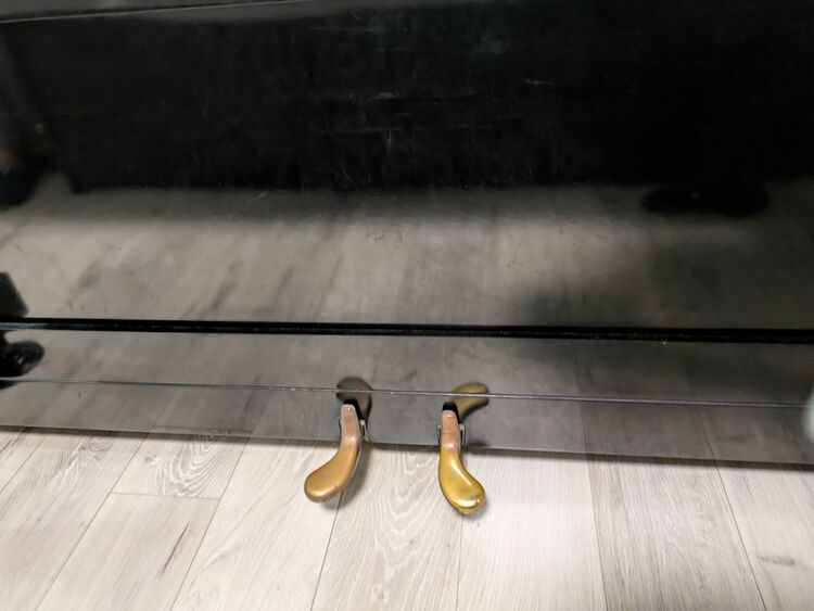 u-2 146231（ピアノ・楽器・PA機材）の商品画像 - 査定依頼日：2025年9月17日 - 最高査定価格：5,000円