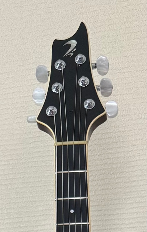 Ts guitars arc-std（ピアノ・楽器・PA機材）の商品画像 - 査定依頼日：2026年8月23日 - 最高査定価格：250,000円