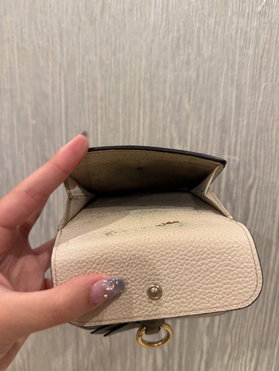 その他 クロエ （ブランドバッグ）の商品画像 - 査定依頼日：2025年8月5日 - 最高査定価格：15,000円