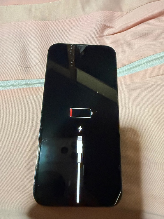 iPhone13プロMAX（スマホ）の商品画像 - 査定依頼日：2026年3月27日 - 最高査定価格：62,000円