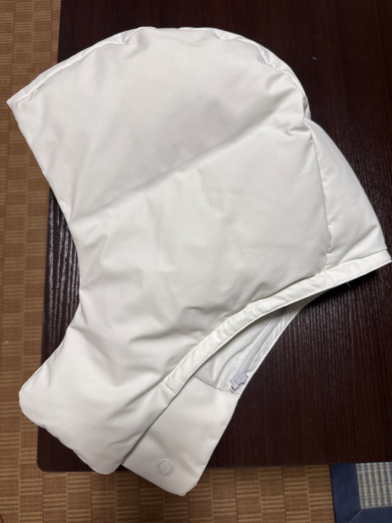 水沢ダウン（古着・ファッション）の商品画像 - 査定依頼日：2025年11月20日 - 最高査定価格：10,000円