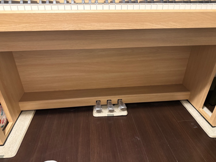CA49（ピアノ・楽器・PA機材）の商品画像 - 査定依頼日：2026年4月29日 - 最高査定価格：18,000円