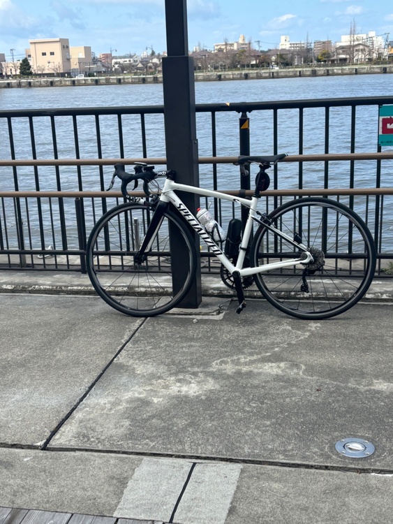 スペシャライズドアレースポーツ2019（自転車）の商品画像 - 査定依頼日：2026年2月22日 - 最高査定価格：43,000円