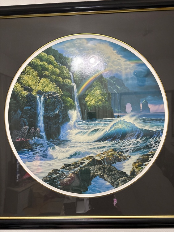 フォールズ・オブ・ハナ（美術品・骨董品）の商品画像 - 査定依頼日：2025年12月7日 - 最高査定価格：13,000円