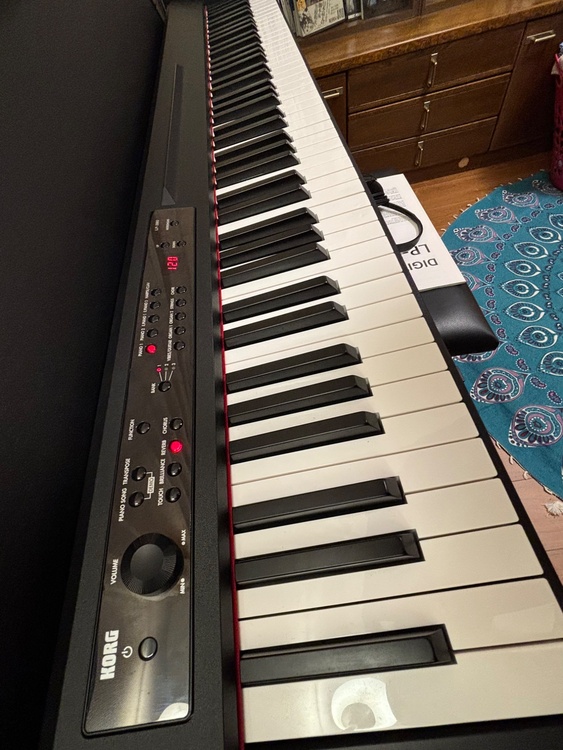 Korg LP−380（ピアノ・楽器・PA機材）の商品画像 - 査定依頼日：2026年3月31日 - 最高査定価格：10,000円