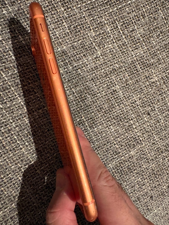 iPhoneXR 256GB Softbank（スマホ）の商品画像 - 査定依頼日：2026年4月14日 - 最高査定価格：4,000円