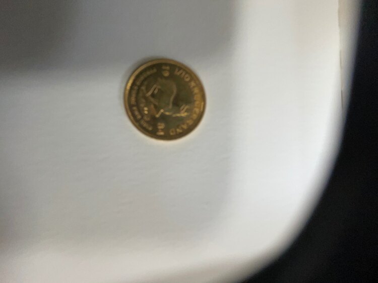 クルーガー金貨（金・貴金属）の商品画像 - 査定依頼日：2024年11月13日 - 最高査定価格：33,000円