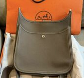 エブリン29　（ブランドバッグ）の商品画像 - 査定依頼日：2025年11月24日 - 最高査定価格：540,000円