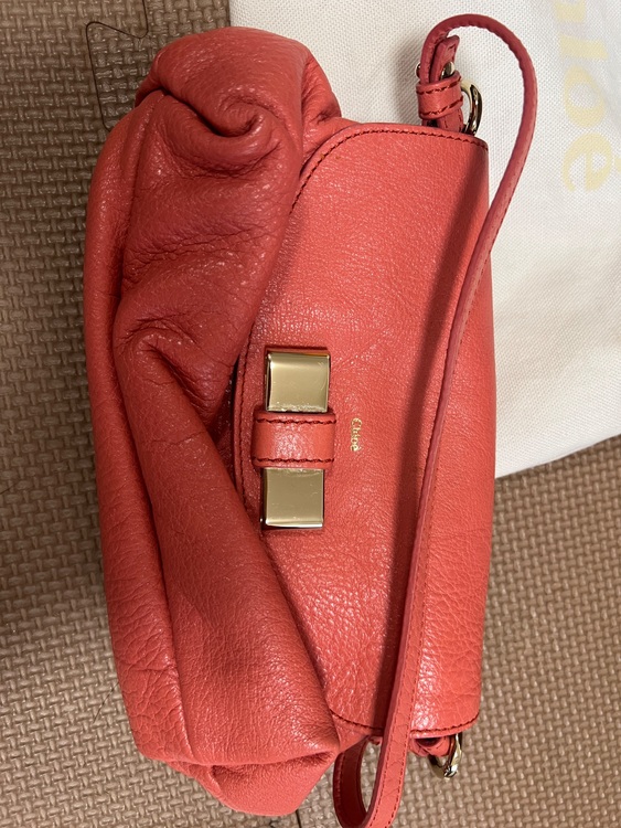 分からない（ブランドバッグ）の商品画像 - 査定依頼日：2025年10月22日 - 最高査定価格：10,000円