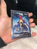 ガブリアスv（トレカ）の商品画像 - 査定依頼日：2025年1月25日 - 最高査定価格：2,500円