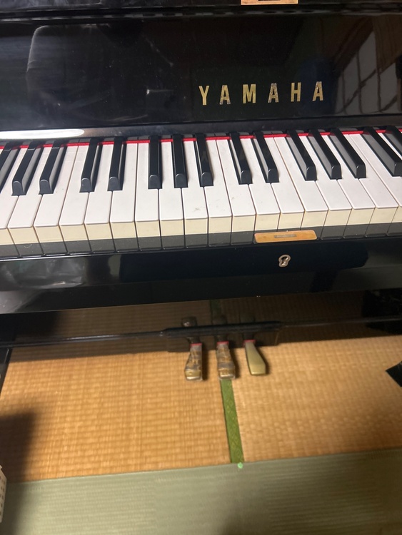 YUA 3155598（ピアノ・楽器・PA機材）の商品画像 - 査定依頼日：2026年5月12日 - 最高査定価格：110,000円