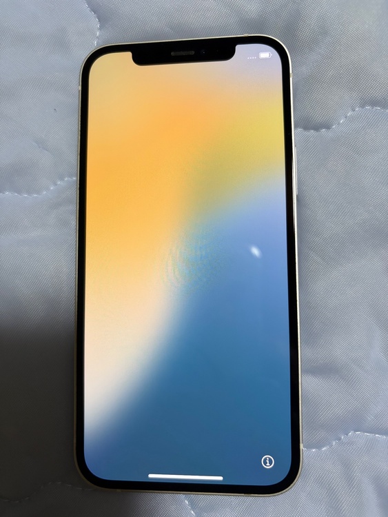 iPhone iPhone 12 64GB SIMフリー（スマホ）の商品画像 - 査定依頼日：2026年9月6日 - 最高査定価格：23,000円