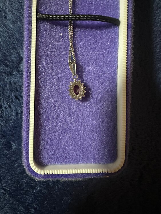 ルビーダイヤモンドプラチナネックレス（金・貴金属）の商品画像 - 査定依頼日：2025年5月7日 - 最高査定価格：60,000円