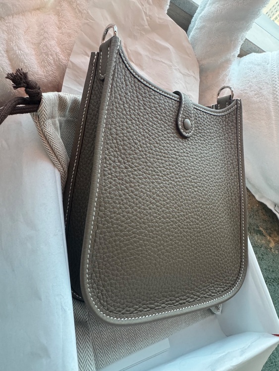 ミニエブリン tpm（ブランドバッグ）の商品画像 - 査定依頼日：2025年7月15日 - 最高査定価格：370,000円