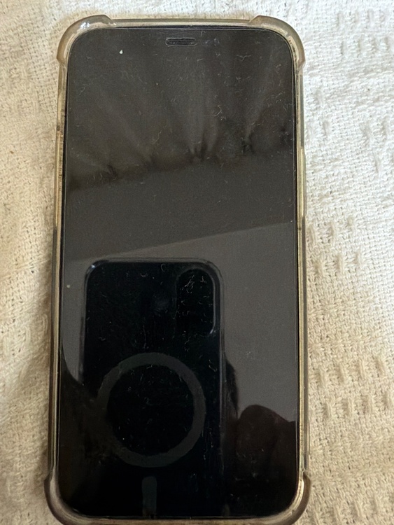 iPhone 12 mini 128GB SIMフリー（スマホ）の商品画像 - 査定依頼日：2026年3月23日 - 最高査定価格：18,000円