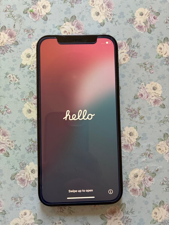 iPhone 12 Pro 128GB SIMフリー（スマホ）の商品画像 - 査定依頼日：2025年3月20日 - 最高査定価格：32,000円