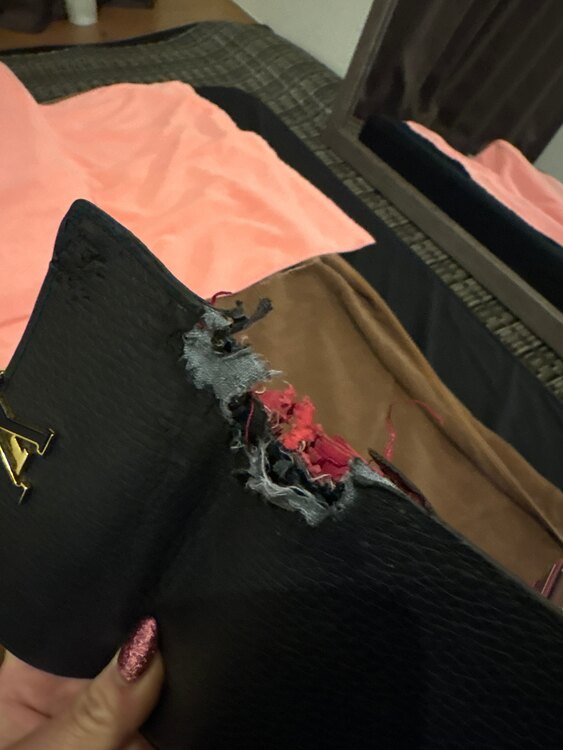 ルイヴィトン ルイヴィトン(その他) （ブランドバッグ）の商品画像 - 査定依頼日：2025年5月19日 - 最高査定価格：1,500円