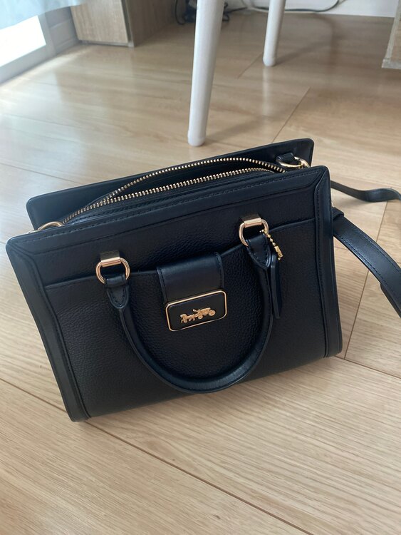 その他 コーチ （ブランドバッグ）の商品画像 - 査定依頼日：2025年4月18日 - 最高査定価格：5,000円