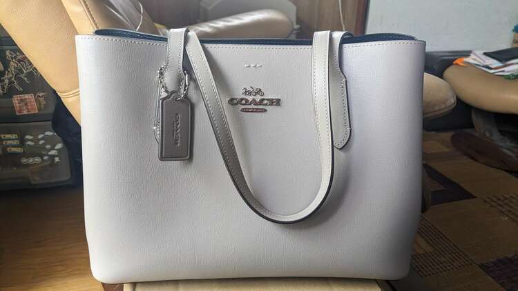 その他 コーチ （ブランドバッグ）の商品画像 - 査定依頼日：2025年3月30日 - 最高査定価格：8,000円