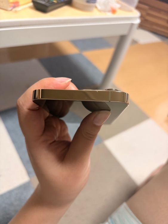 iPhone iPhone 13 Pro 256GB docomo（スマホ）の商品画像 - 査定依頼日：2026年6月25日 - 最高査定価格：55,000円